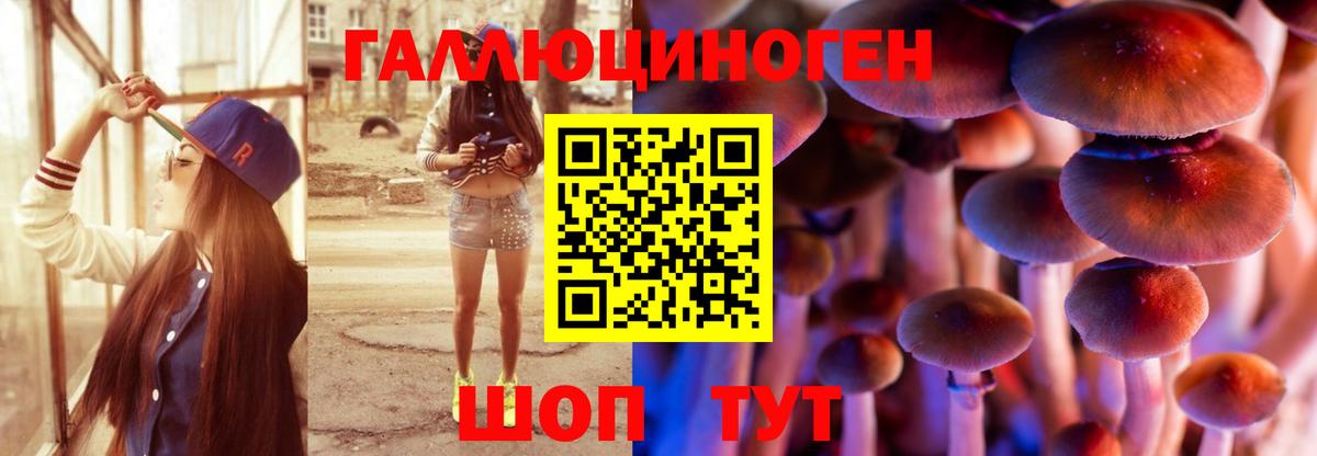 Галлюциногенные грибы Psilocybine cubensis  Псилоцибиновые грибы ЛСД  Севастополь  Вход с VPN 