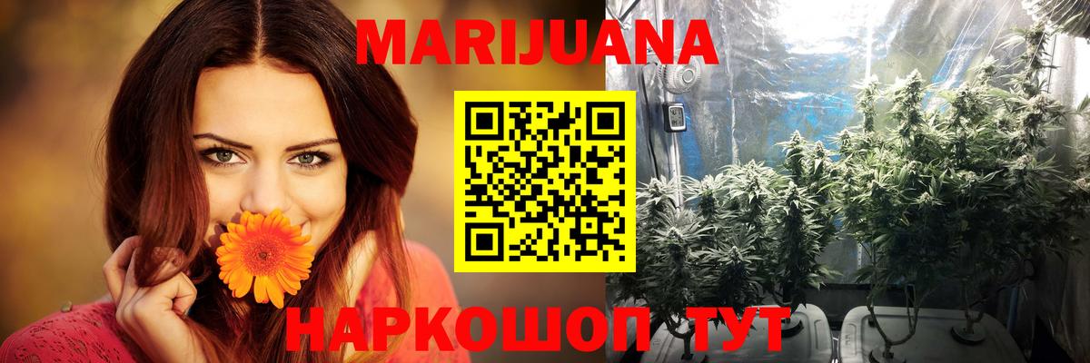 Марихуана план Севастополь